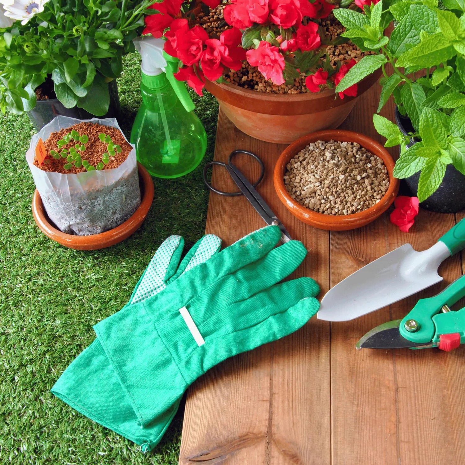 Tools and Garden - Ton Monde Shop