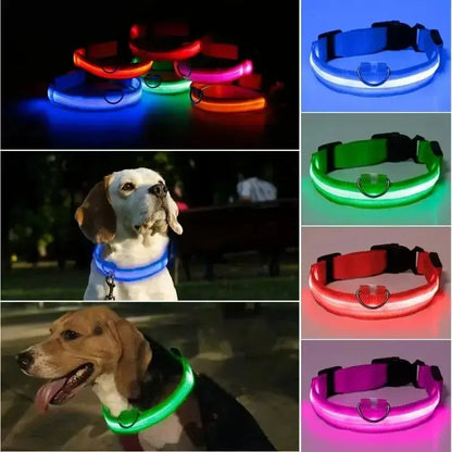 Adjustable Dog Collar LED Glowing Luminous Collar Dog Night Light - Ton Monde Shop