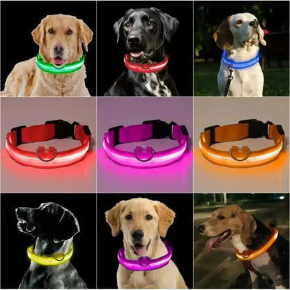 Adjustable Dog Collar LED Glowing Luminous Collar Dog Night Light - Ton Monde Shop