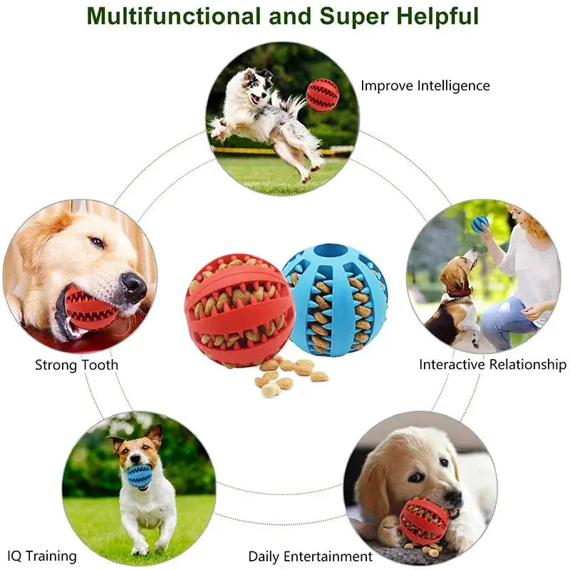 Dog Ball Toys for Small Interactive Elasticity Puppy Chew Tooth Cleaning - Ton Monde Shop