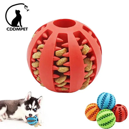 Dog Ball Toys for Small Interactive Elasticity Puppy Chew Tooth Cleaning - Ton Monde Shop