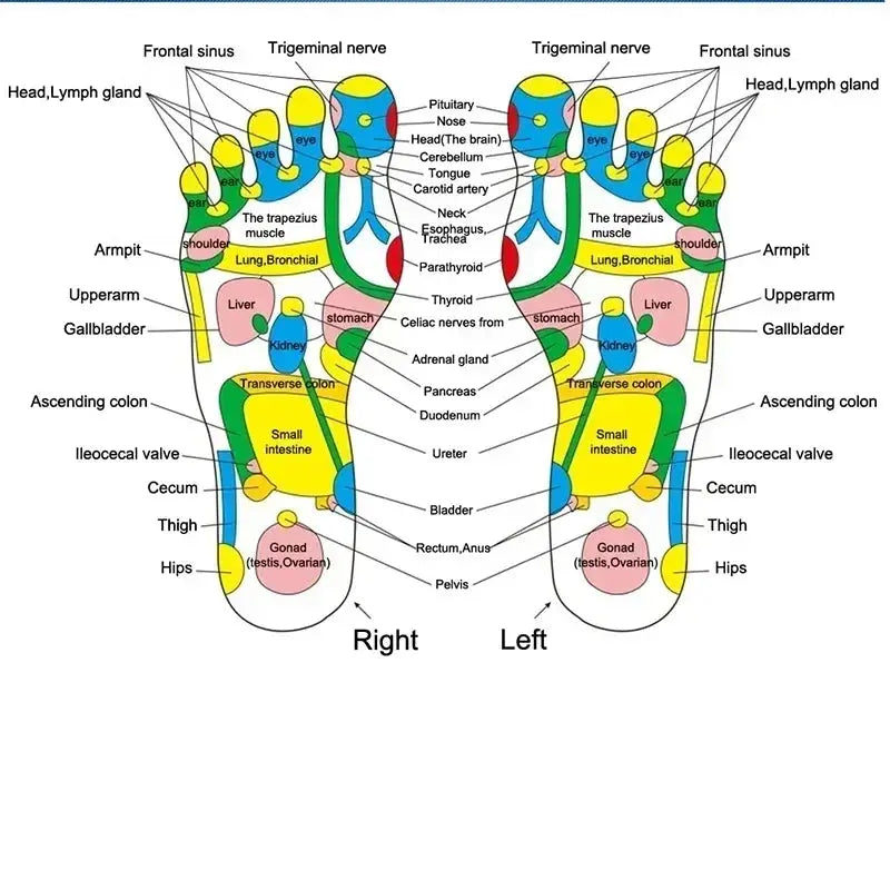 Foot Massage Mat Acupressure Heath Therapy Reflexology Walk Stone Road - Ton Monde Shop