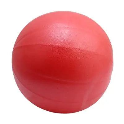 Yoga Ball Exercise Gymnastic Fitness Pilates Ball Balance