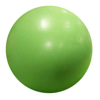 Yoga Ball Exercise Gymnastic Fitness Pilates Ball Balance