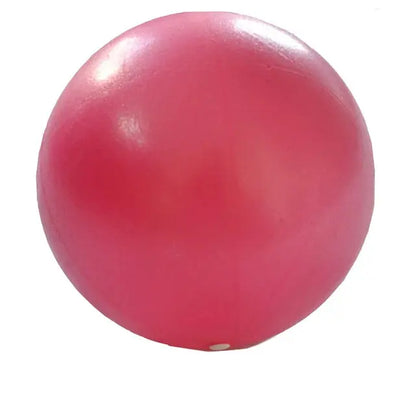 Yoga Ball Exercise Gymnastic Fitness Pilates Ball Balance